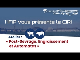 Quelles expérimentations en post-sevrage et engraissement à la station d'élevage de l'IFIP ?