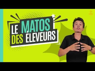 Matos des Éleveurs | Vet Vision AI - Lauréat Sommet d’Or 2025