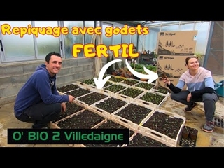 On repique les 1ers semis avec les godets FERTIL!! poivrons tomates!