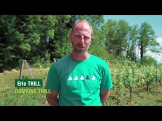 Talents Tech&Bio 2023 - Eric Thill, Domaine Thill