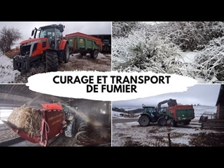 Curage et transport de fumier