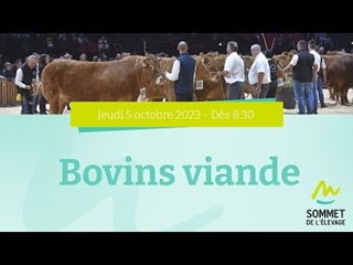 Sommet de l'élevage 2023 - Bovins viande - 05/10/23