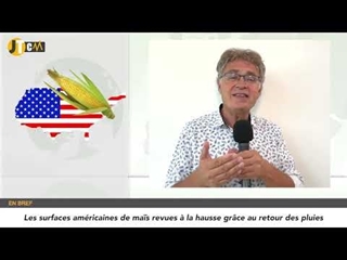 JTCM - Focus sur les premières estimations de la production française de blé - 12/07/2023