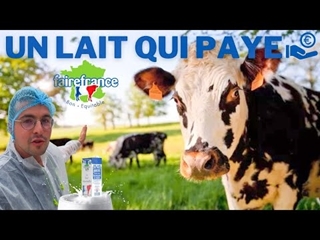 Un lait qui Paye ! 🤑 FairFrance 🇫🇷