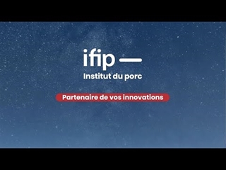 L'IFIP vous souhaite une bonne année 2024...