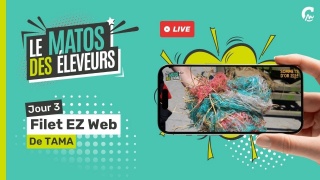 Matos des Éleveurs l Tama EZ Web : Le filet révolutionnaire pour les éleveurs