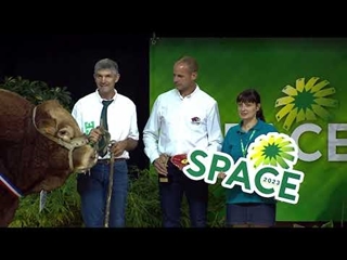 Concours Interrégional Limousin - Prix du Meilleur Animal du Concours SPACE