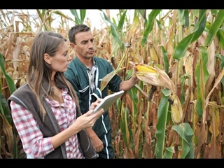 Teaser Rendez-vous Tech&Bio Grandes cultures et diversification 2022