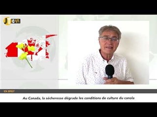 JTCM - Une moisson française qui s’annonce excellente ? - 06/07/2023