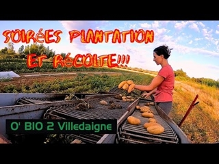 Nos folles soirée du mois de juillet: RECOLTE et PLANTATION à fond!