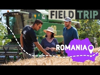 Dernier blé avant l’Ukraine : moisson en Roumanie 🇷🇴🇪🇺