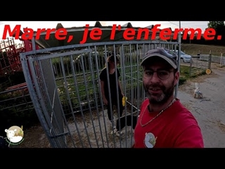 Un chenil, pourquoi? Début des labours pour les semis de céréales. N°239