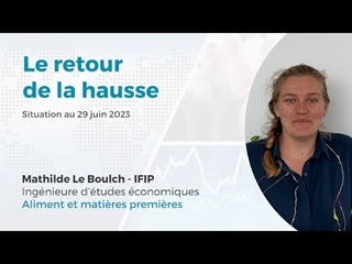 Marchés des Matières Premières pour l'alimentation animale : retour de la hausse (29/06)