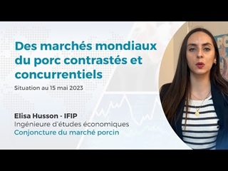 Des marchés mondiaux du porc contrastés et concurrentiels (15/05/23)