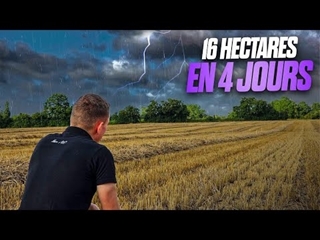 MOISSON BLÉ 2023 (enfin j'essaye)