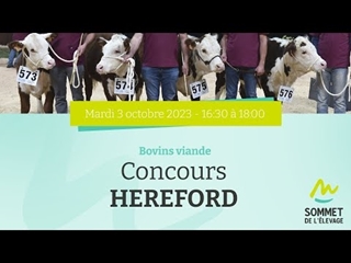 Sommet de l'élevage 2023 - Concours HEREFORD 03/10/2023