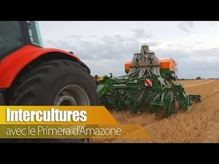 Intercultures avec le Primera d'Amazone