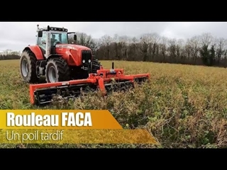 Un poil tardif pour le FACA