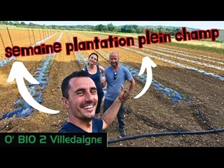 plantation en plein champ TOMATES, AUBEGINES, COURGETTES avec clément pour sa derniere semaine