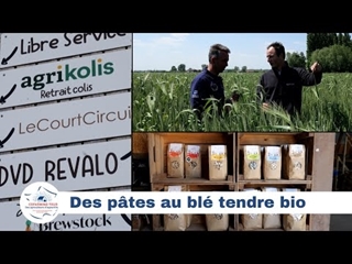 Des pâtes au blé tendre bio et de variétés anciennes #CFT