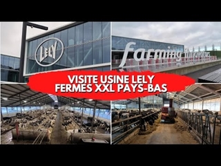 Visite usine Lely et fermes XXL aux Pays-Bas !