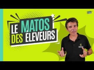 Matos des Éleveurs | Hurstler - Lauréat Sommet d’Or 2025