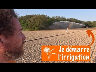 Je démarre l'irrigation pour sauver les tournesols 🌻