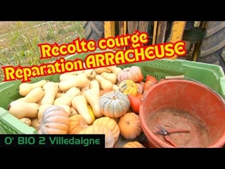 Récolte des dernieres COURGES et j'essaye de réparer l'arracheuse SAMRO