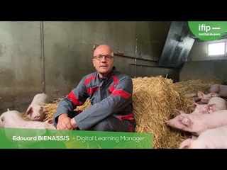 Formation Conduite d'élevage de porc : gestante, maternité, post-sevrage et engraissement (18-22/09)