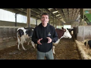 Matos des Éleveurs | IMV Echographe - Lauréat Sommet d’Or 2025