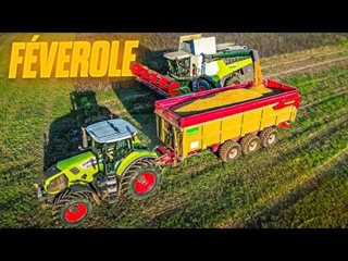 J'ESSAIE DE CONTINUER LES RÉCOLTES (1 mois dans ma peau 15/31)