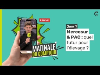 La Matinale du Comptoir | MERCOSUR & PAC : quel futur pour l'élevage ?