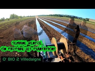 Semis de melons, préparation plantation dans cette semaine ventée