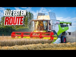 MOISSON D'ORGE 2023 !