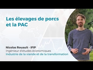 Les élevages de porcs et la PAC