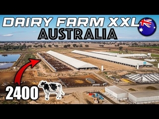 🇦🇺 Ferme de 2400 vaches en ensilage : Australie