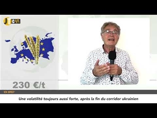 JTCM - Pourquoi la volatilité reste forte sur les marchés agricoles ? - 17/08/2023