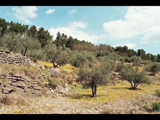 Teaser Rendez-vous Tech&Bio Cultures Méditerranéennes 2022