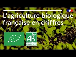 L'agriculture biologique française en chiffres