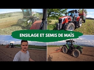 Ensilage et semis de maïs