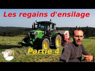 De la nouvelle herbe, je fais encore de la casse. N°228