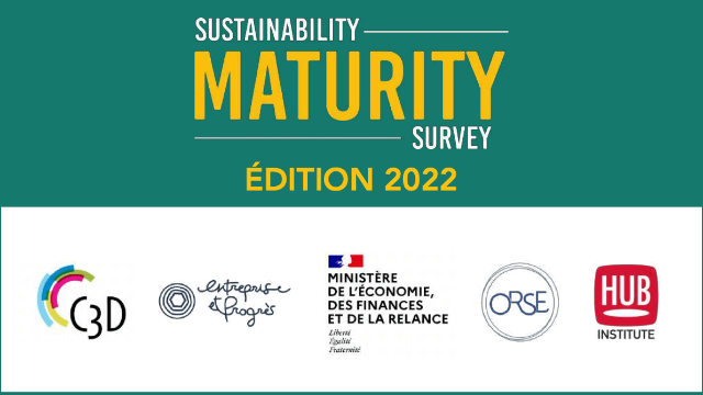 Sustainable Maturity Survey - Leaders Report