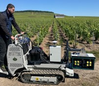 Vitivisio reinvents the vineyard: precision at the service of sustainable viticulture 
