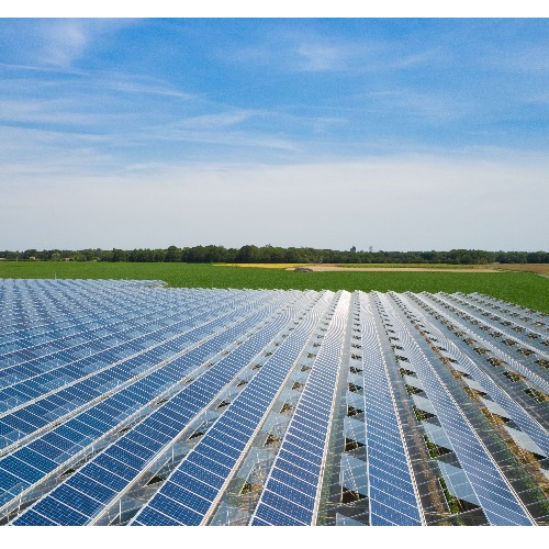 Serres photovoltaïques