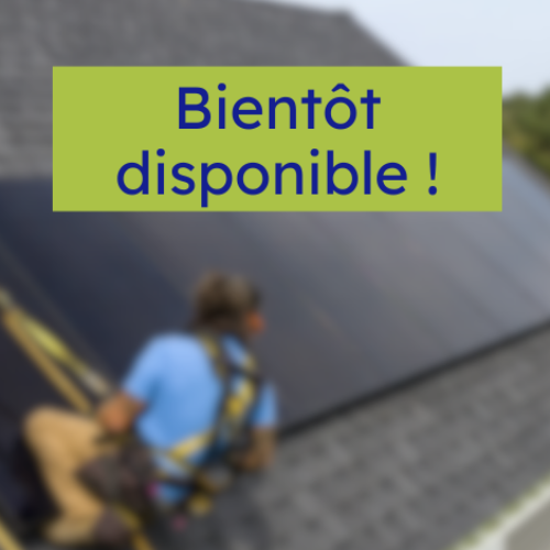 SunPower Back Contact - Nouvelle Génération M Class