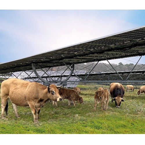 Ombrières pour élevages et grandes cultures