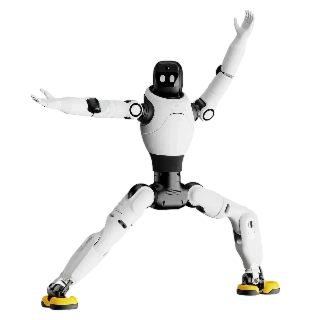  Photo Agibot X2
