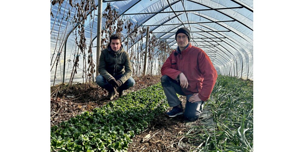 Photo Clément Renault et Nicolas Barbin