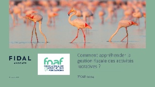 Comment appréhender la gestion fiscale des activités lucratives ?